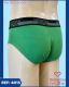 CUECA DE VISCOLYCRA SLIP TRADICIONAL ADULTO