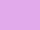 Lavanda
